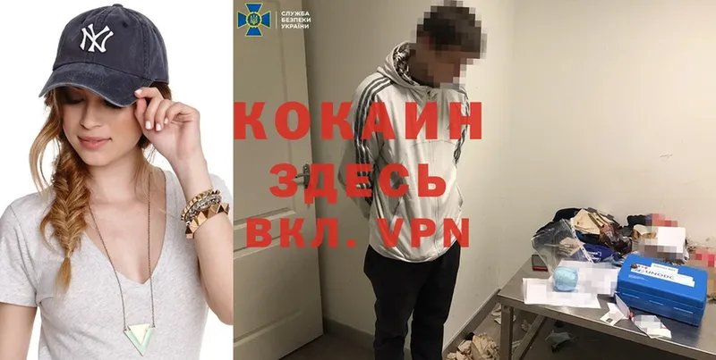 где найти   Дно  Cocaine VHQ 