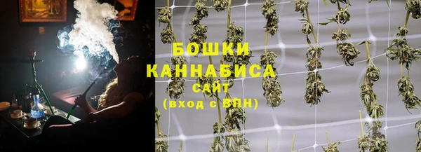 ALPHA PVP Горнозаводск