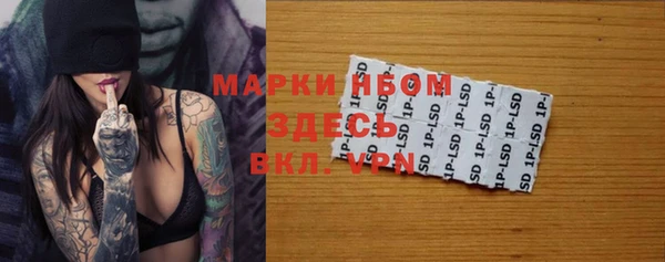 ALPHA PVP Горнозаводск
