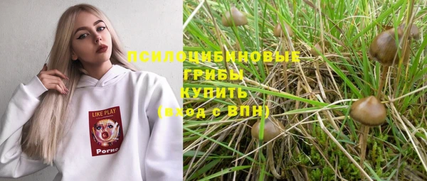 героин Горняк