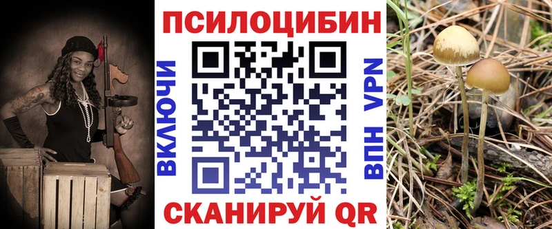 наркошоп  blacksprut tor  Галлюциногенные грибы MAGIC MUSHROOMS  Дно 